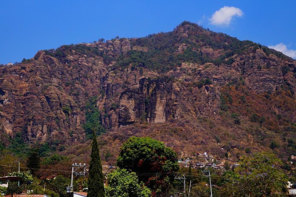 Hospedaje La Hoja Tepoztlan Exterior photo